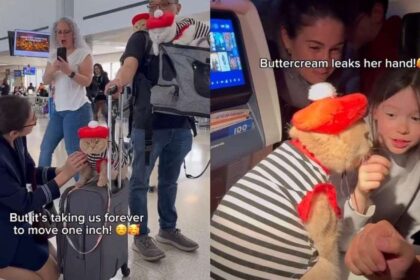 Cats Capture Everyone’s Hearts During Flight to Paris
