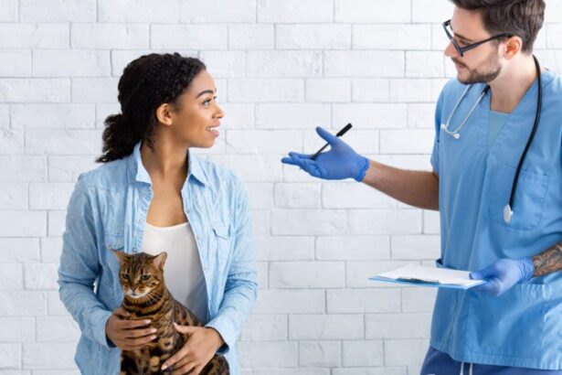 Cat owner with her pet communicating to vet