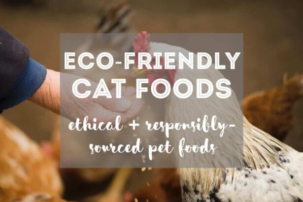 8 Ethical & Eco-Friendly Cat Foods [Healthy Pets + Planet]
