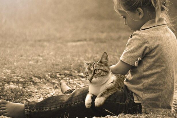 A Cat-Friendly Guide to Barnet