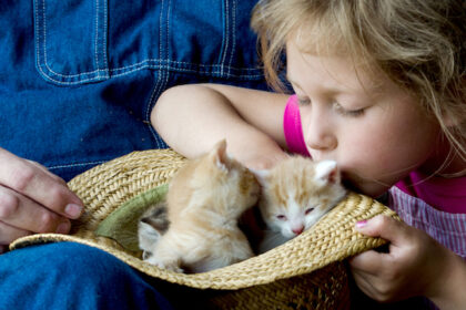Kittens & What To Expect: 5 Essential Tips For When You Adopt