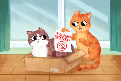 Cat Fights, Aggression & Stress: An Action Plan To Help Cats Get Along