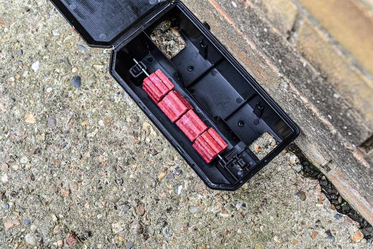 Rat bait station open with red rodent poison