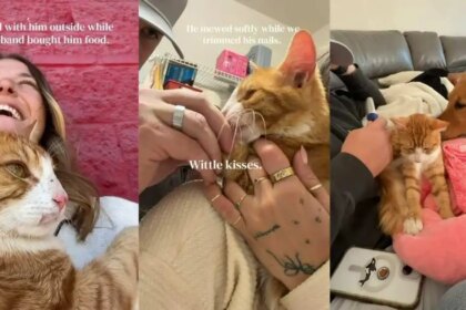 Cat Walks up to a Family on the Street Wanting Love & Isn’t Left Behind