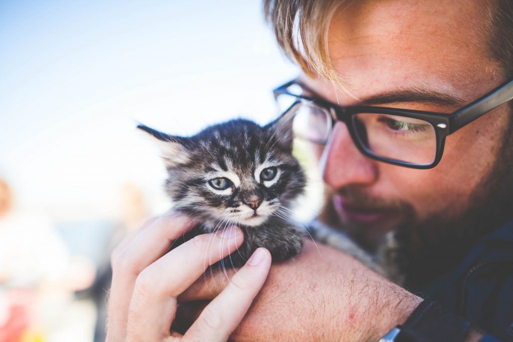 What Type of Cat Parent Are You? – Feline Behavior Solutions