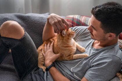 The 12 Signs of an Extremely Happy Cat