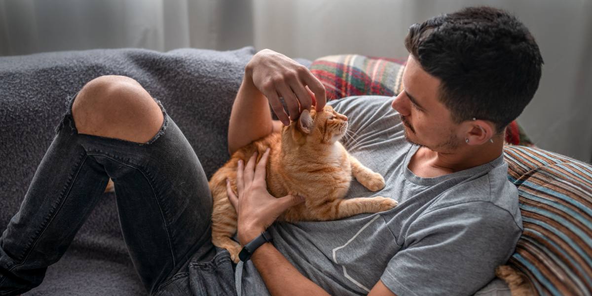 The 12 Signs of an Extremely Happy Cat