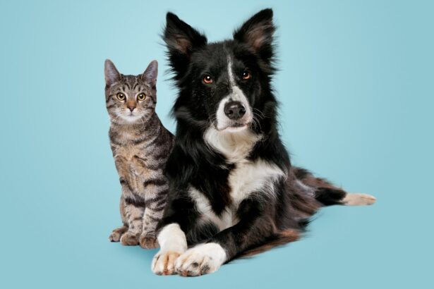 Illustration showcasing the intelligence of cats, emphasizing their problem-solving abilities and cognitive prowess.