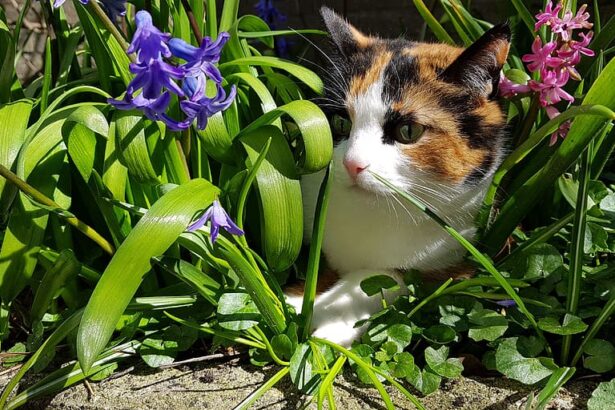 Spring Safety Tips for Pet Owners: Poisonous Plants, Bees, and Fungi to Watch Out For