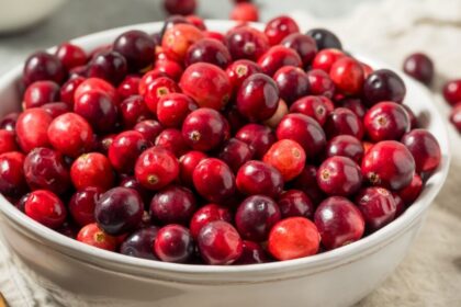 white bowl filled with red cranberries