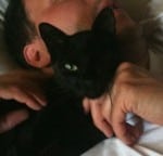 Joel-the-cat’s holistic healing story—the beginning