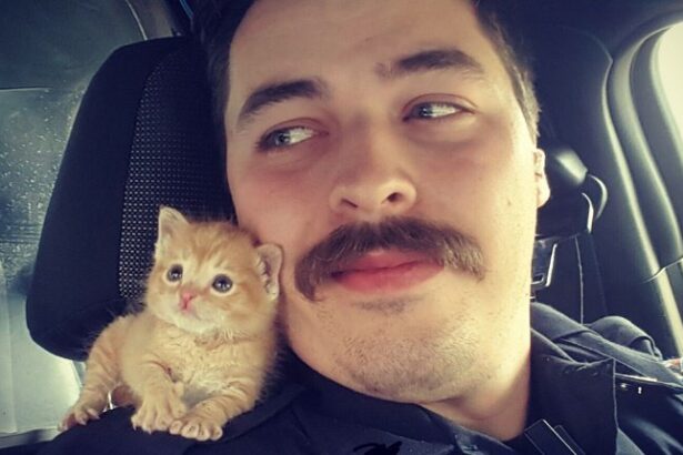 Police Officer Rescues Adorable New Kitten Partner Named Squirt