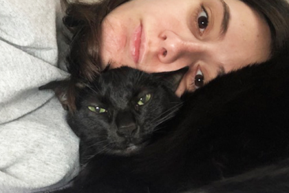 Inflammatory Bowel Disease (IBD) - A Cat Parent's Perspective