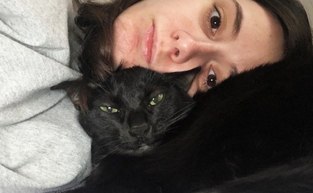 Inflammatory Bowel Disease (IBD) - A Cat Parent's Perspective