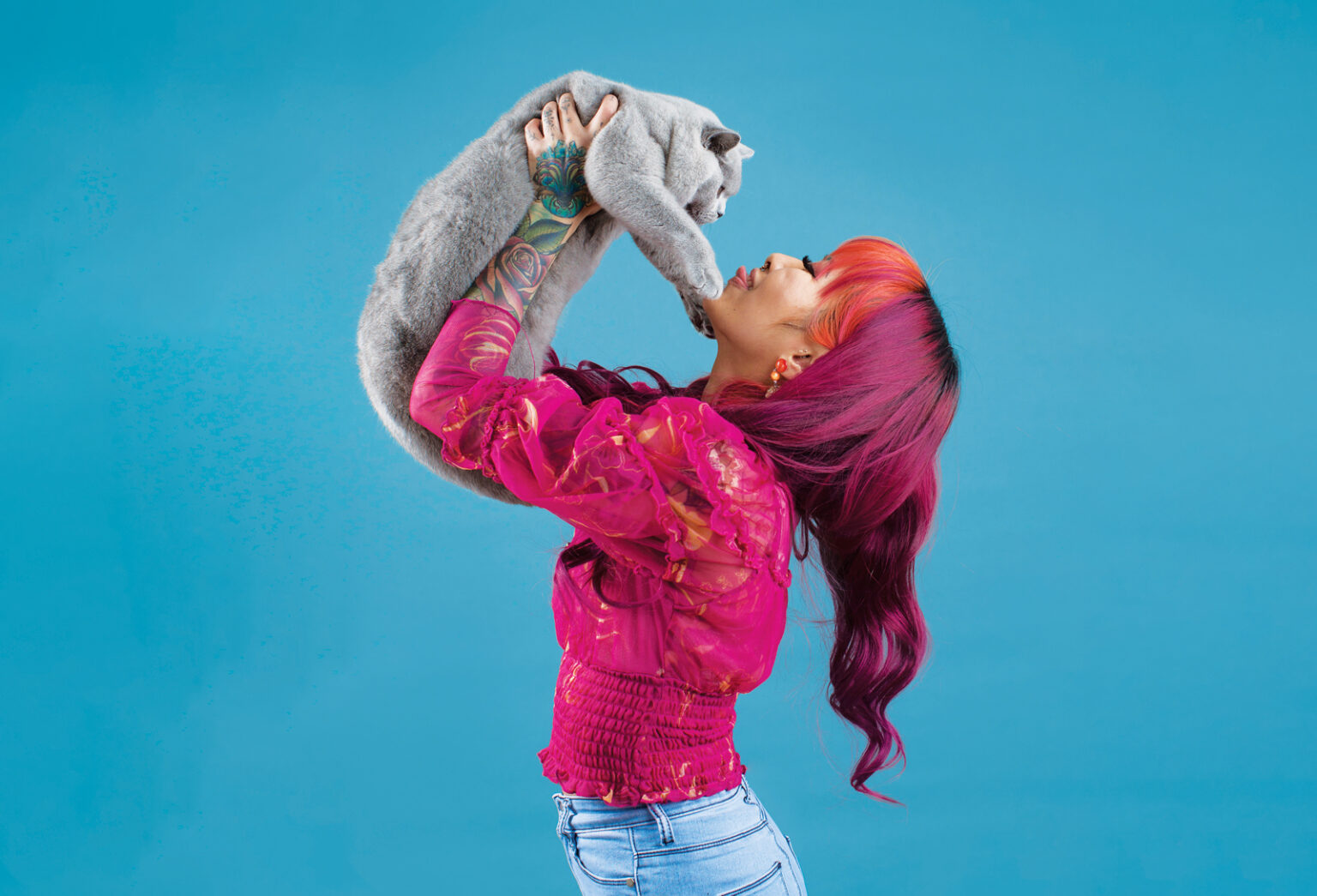 The 10 Friendliest, Most Affectionate Cat Breeds