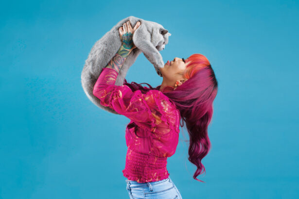 The 10 Friendliest, Most Affectionate Cat Breeds
