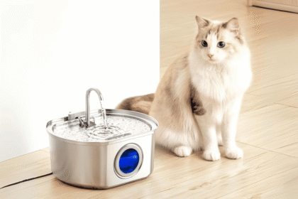 Why I Recommend the Neareal Cat Water Fountain for Your Kitty
