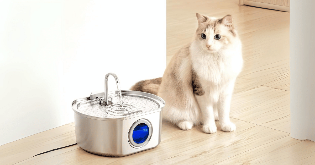 Why I Recommend the Neareal Cat Water Fountain for Your Kitty