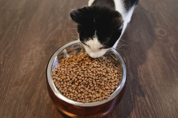 Nulo Freestyle Cat & Kitten Turkey & Duck Kibble Dry Food