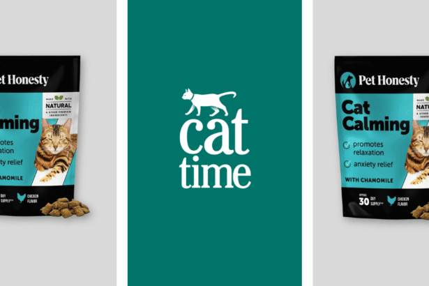 The Pet Honesty Cat Calming Chews Are a Must-Try for Anxious Felines
