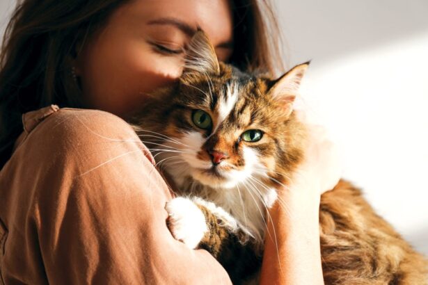 Signs Your Cat Thinks You’re Their Mom or Dad