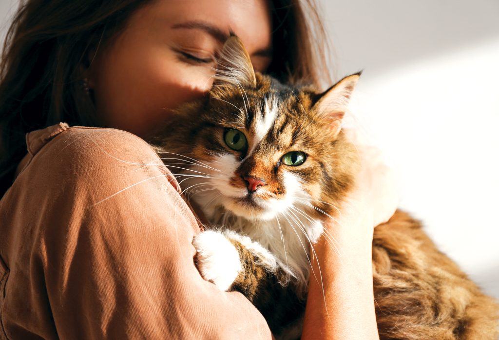 Signs Your Cat Thinks You’re Their Mom or Dad