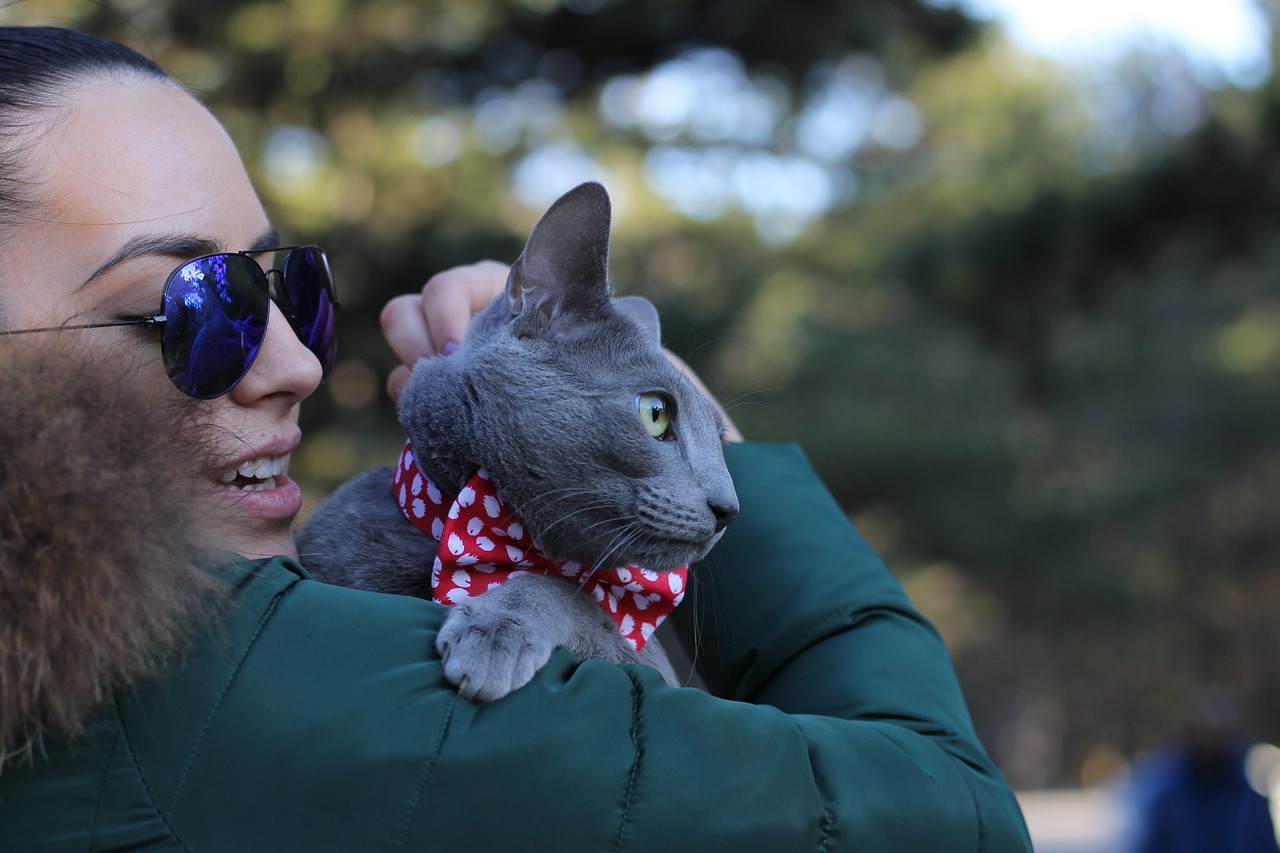 Top 7 Cat Breeds for People Who Travel Frequently