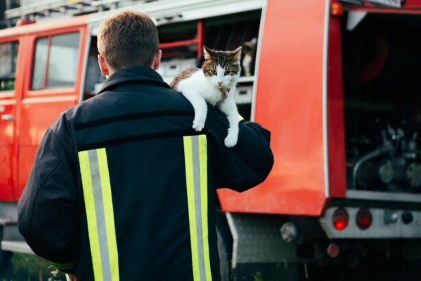 heroic fireman in protective suit and red helmet holds saved cat in his arms