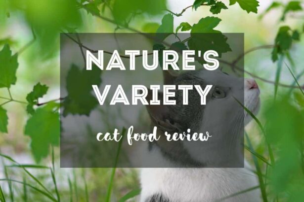 Nature's Variety Instinct Cat Food Review {Guide}