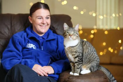 How to Plan Ahead for Your Pets This Christmas - Top Tips for Pet Care