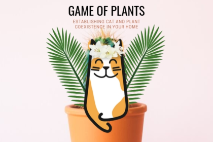 House Plants and Cats: Top Ten Toxic Plants