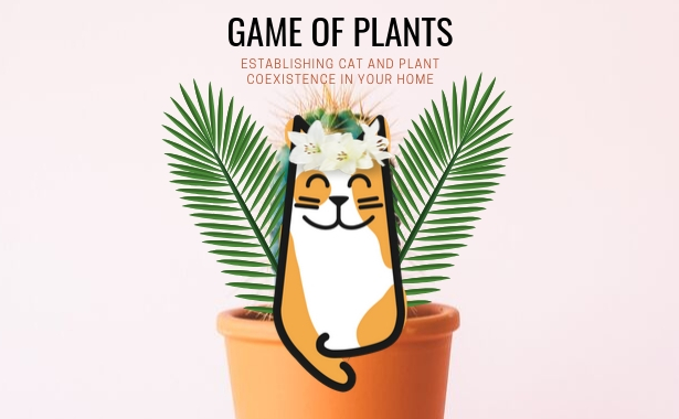 House Plants and Cats: Top Ten Toxic Plants
