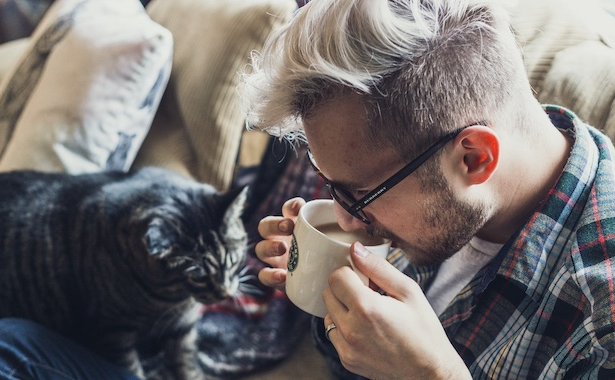 How to Spend Quality Time with Your Cat When You're Home