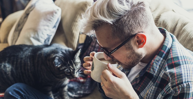 How to Spend Quality Time with Your Cat When You're Home
