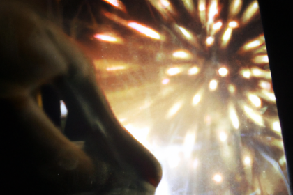 Fireworks and Pets: How to Keep Your Dogs and Cats Calm - Tips from PDSA