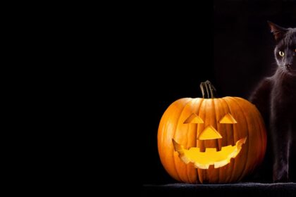 Keeping Your Cat Safe During Halloween and Bonfire Night Celebrations