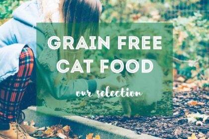 Best Grain Free Food for Cats | Our Selection