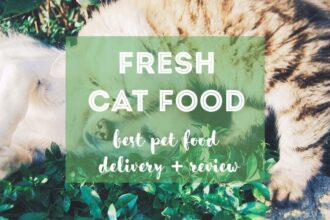 Best Fresh Pet Food Delivery + NomNomNow Review