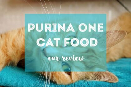Purina One Cat Food Review | Ultimate Guide