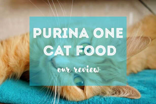Purina One Cat Food Review | Ultimate Guide